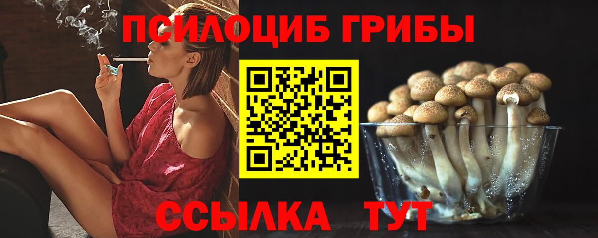 Галлюциногенные грибы Cubensis Аша